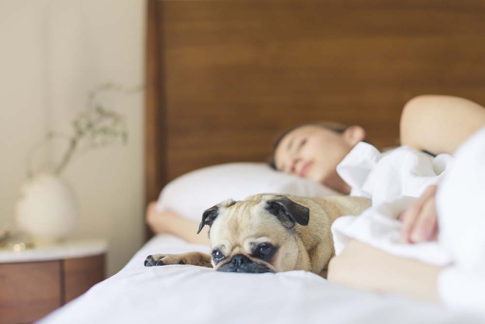 Cama de hotel em casa