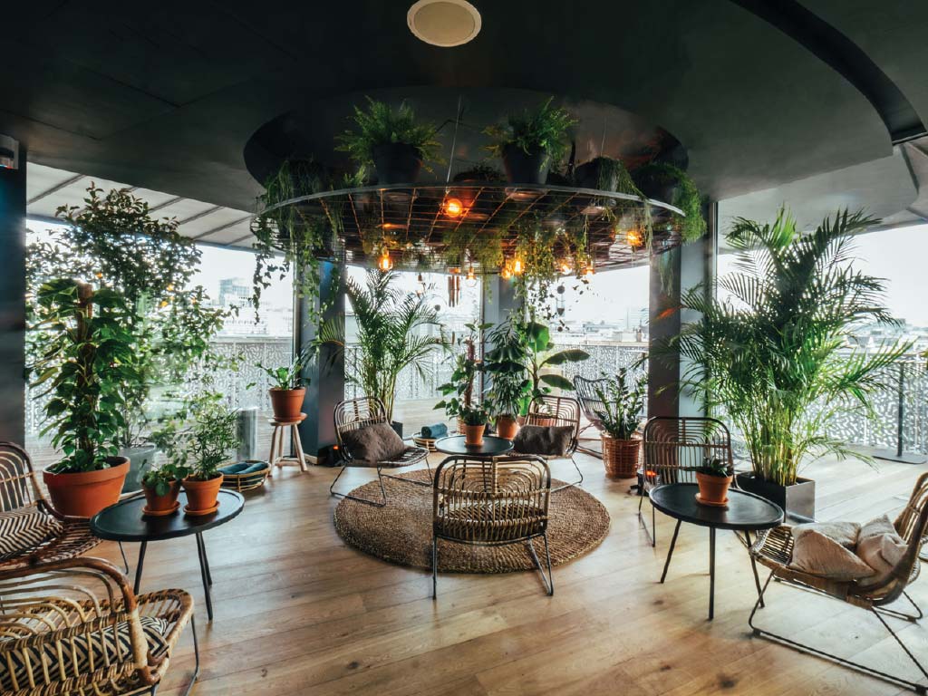 Urban Jungle: tendência e estilo de vida